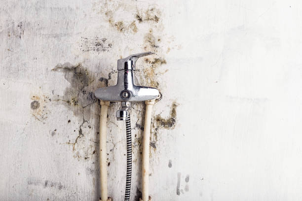 Best Mold Remediation for Specific Building Types in Delphos, OH