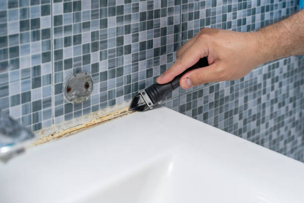 Best Preventive Mold Services in Delphos, OH